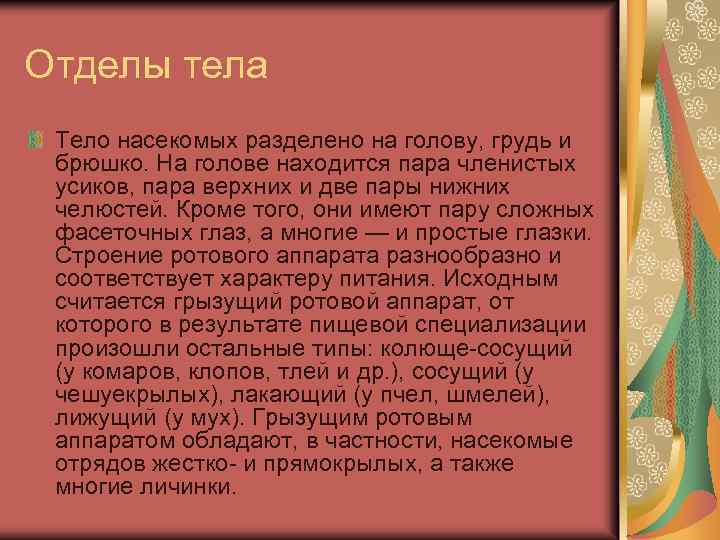 Отделы тела Тело насекомых разделено на голову, грудь и брюшко. На голове находится пара