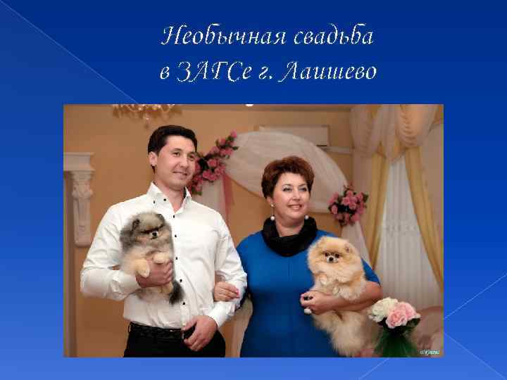 Необычная свадьба в ЗАГСе г. Лаишево 