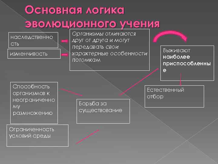 Основная логика эволюционного учения Организмы отличаются друг от друга и могут передавать свои характерные
