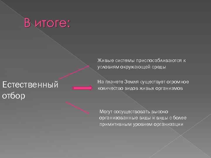 В итоге: Живые системы приспосабливаются к условиям окружающей среды Естественный отбор На планете Земля