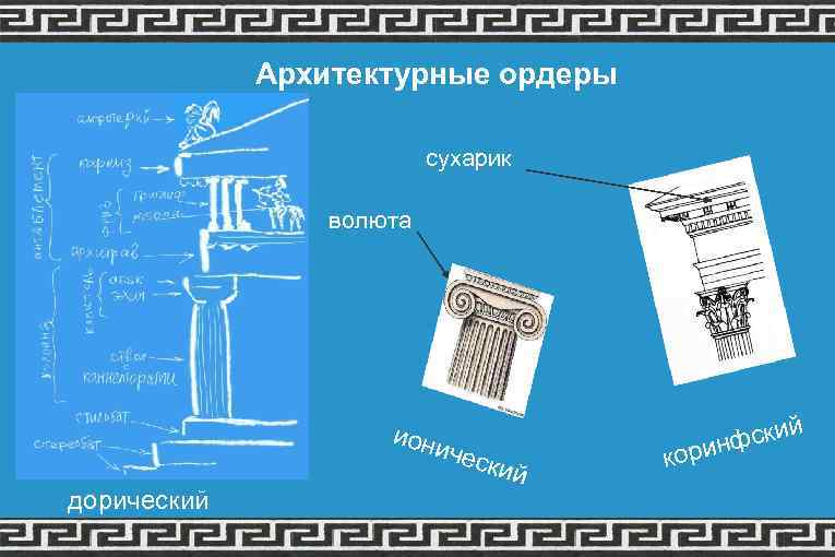 Архитектурные ордеры сухарик волюта ион иче дорический кор ский инф 