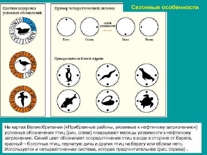 Сезонные особенности На картах Великобритании ( «Прибрежные районы, уязвимые к нефтяному загрязнению» ) условные