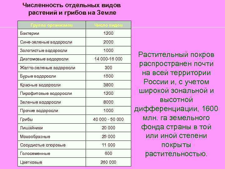 Численность отдельных видов растений и грибов на Земле Группа организмов Число видов Бактерии 1200