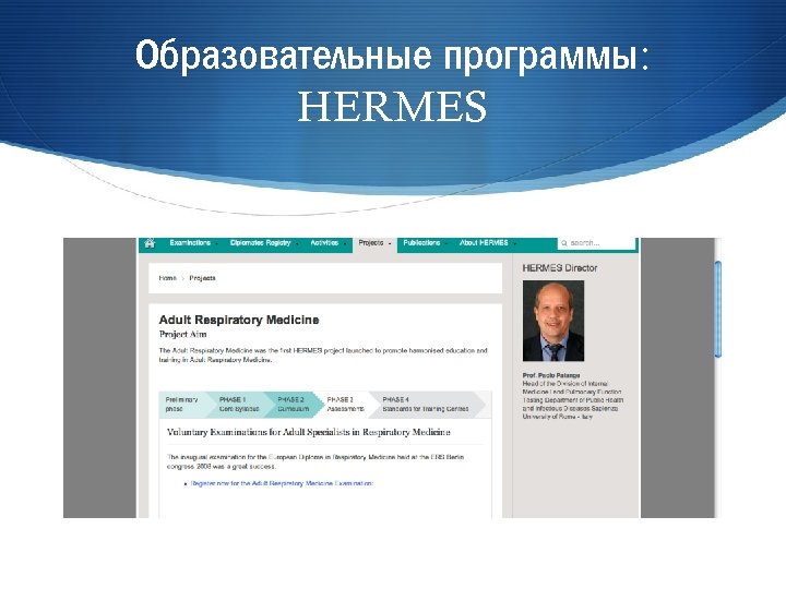 Образовательные программы: HERMES 