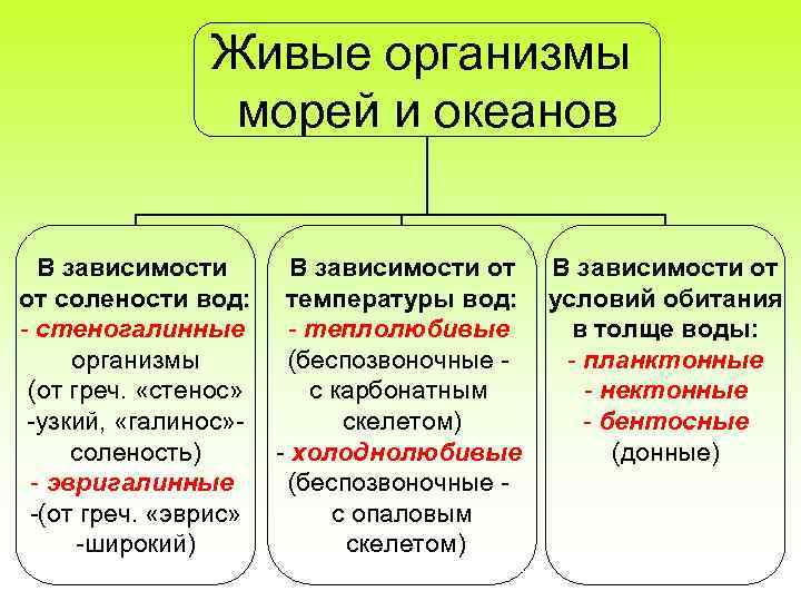 Деятельность моря. Геологическая деятельность моря. Геологическая деятельность морей и океанов кратко. Геологическая деятельность моря кратко. Геологическая деятельность океанов кратко.