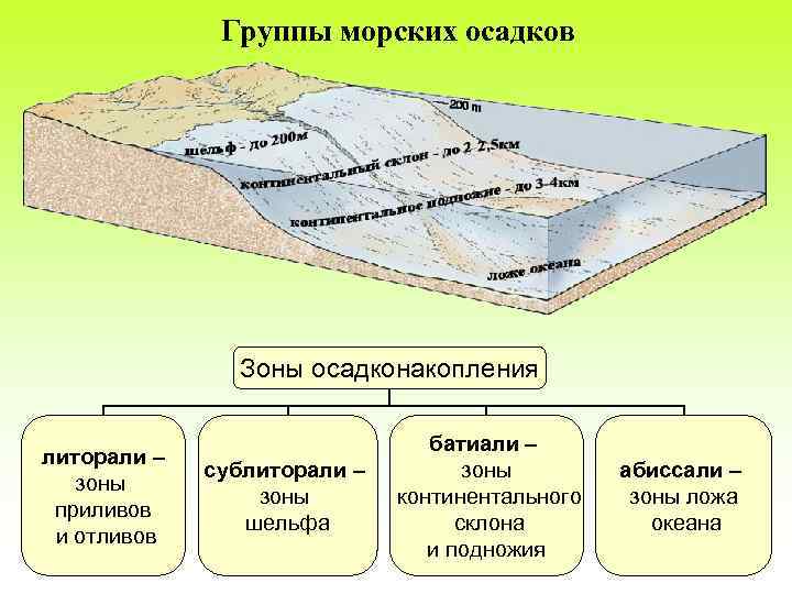 Морские осадки. Процессы осадконакопления седиментации мирового океана. Зоны осадконакопления. Зоны осадконакопления Геология. Зоны океанического осадконакопления.