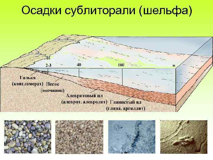 Осадки сублиторали (шельфа) 