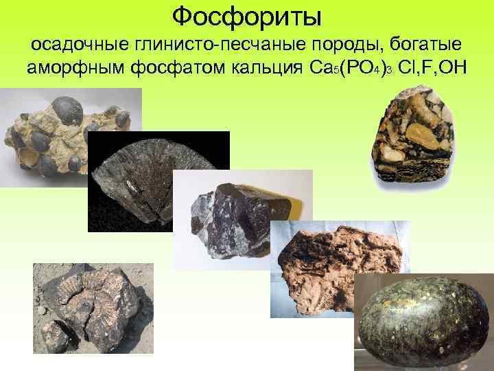 Фосфориты осадочные глинисто песчаные породы, богатые аморфным фосфатом кальция Ca 5(PO 4)3 Cl, F,