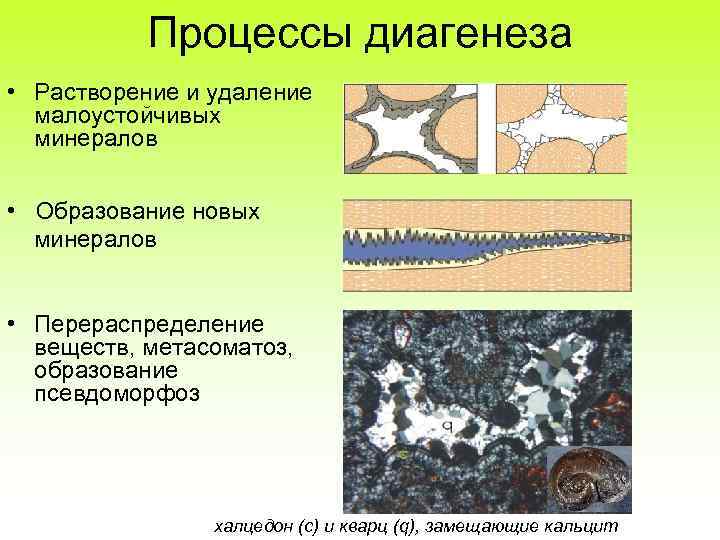 Процессы диагенеза • Растворение и удаление малоустойчивых минералов • Образование новых минералов • Перераспределение