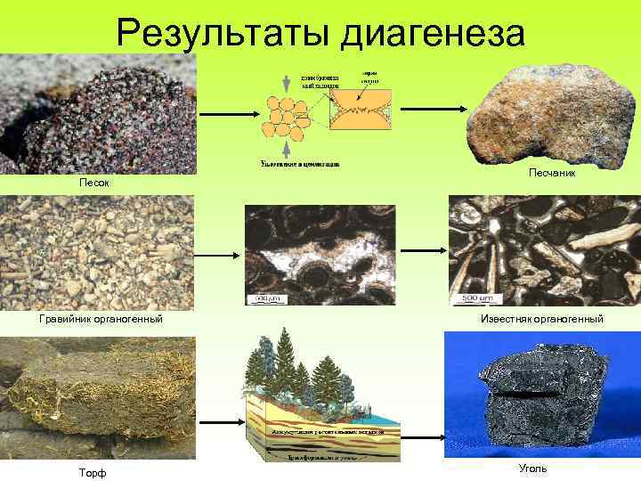 Схема образования осадочных горных пород