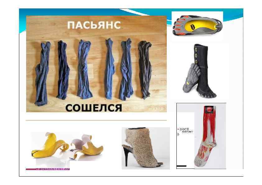  • ooc. K ANATOMY s 