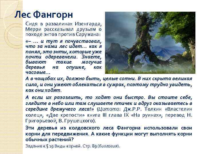 Лес Фангорн Сидя в развалинах Изенгарда, Мерри рассказывал друзьям о походе энтов против Сарумана: