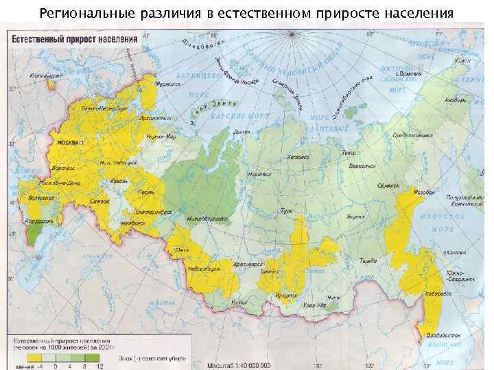 Региональные различия в естественном приросте населения РФ 