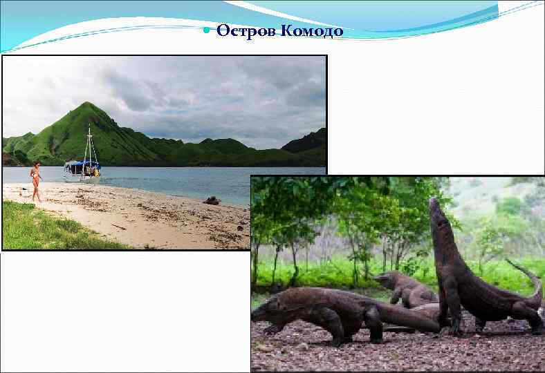  Остров Комодо 