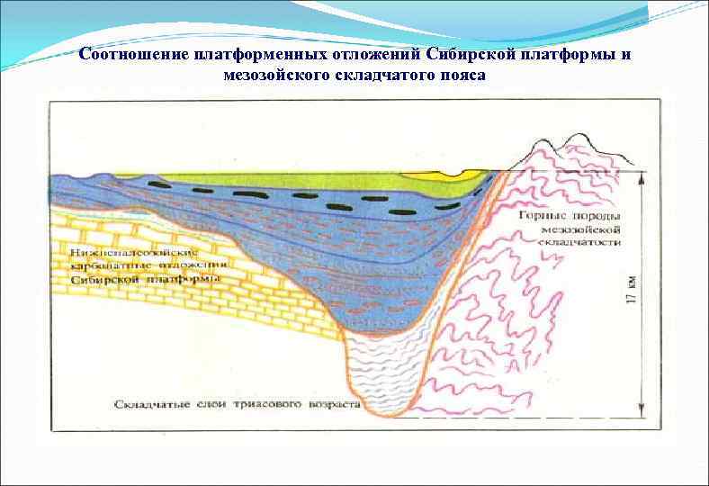 Соотношение платформенных отложений Сибирской платформы и мезозойского складчатого пояса 