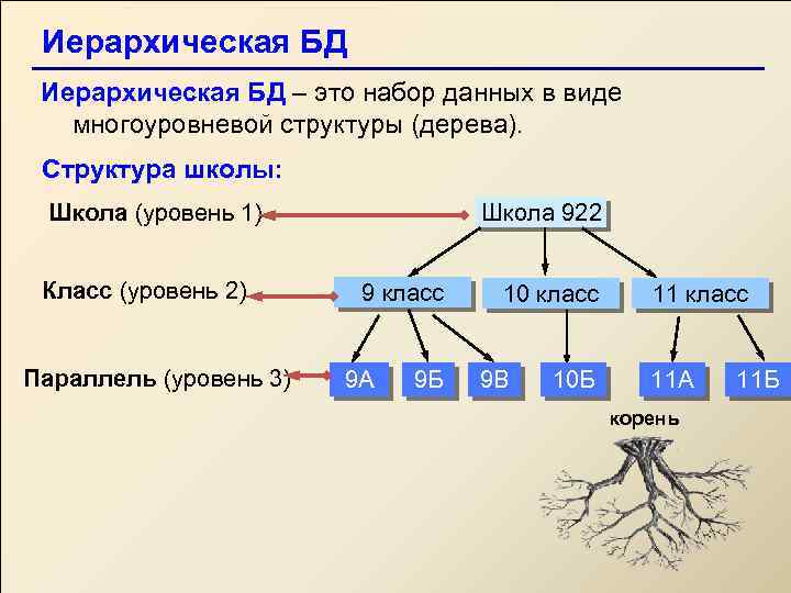 Иерархическая БД – это набор данных в виде многоуровневой структуры (дерева). Структура школы: Школа