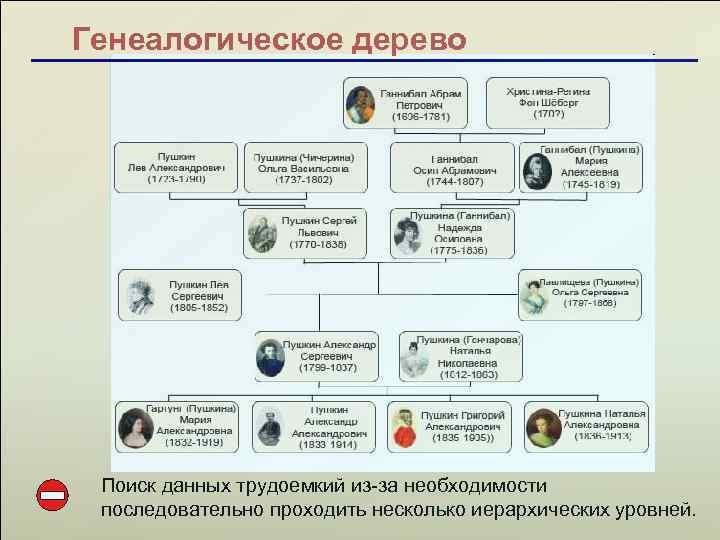 Генеалогическое дерево Поиск данных трудоемкий из-за необходимости последовательно проходить несколько иерархических уровней. 