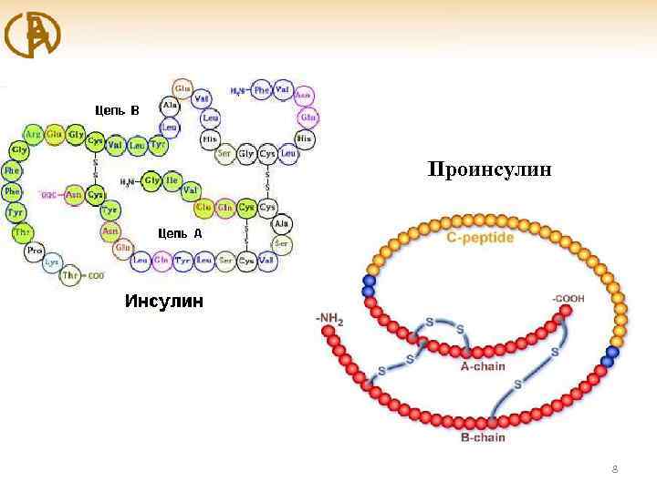 Проинсулин 8 