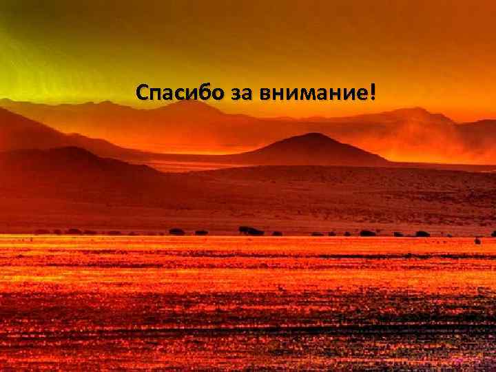 Спасибо за внимание! 