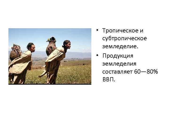  • Тропическое и субтропическое земледелие. • Продукция земледелия составляет 60— 80% ВВП. 
