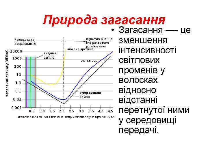 Природа загасання • Загасання —- це зменшення інтенсивності світлових променів у волосках відносно відстанні