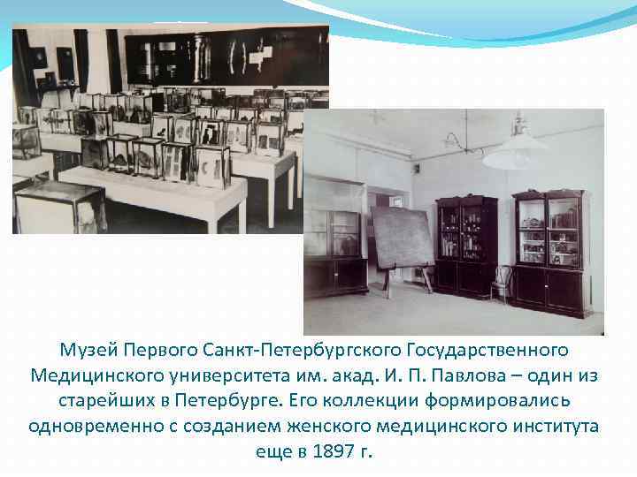 Музей Первого Санкт-Петербургского Государственного Медицинского университета им. акад. И. П. Павлова – один из
