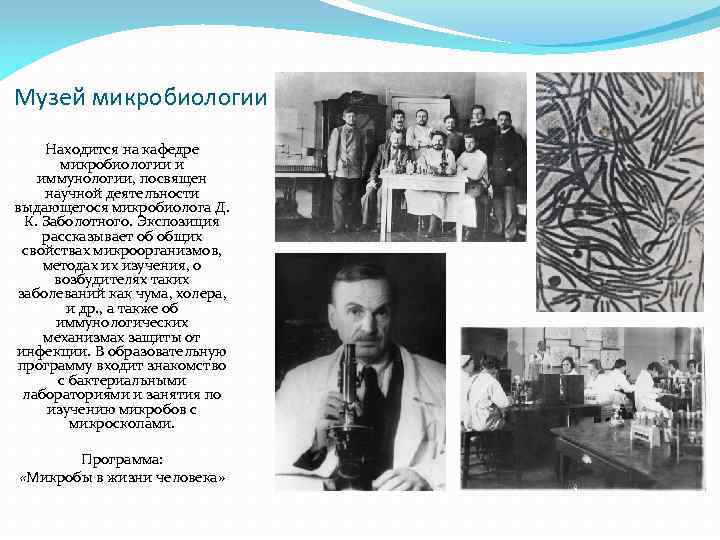 Музей микробиологии Находится на кафедре микробиологии и иммунологии, посвящен научной деятельности выдающегося микробиолога Д.