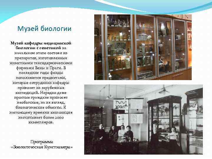 Музей биологии Музей кафедры медицинской биологии с генетикой на начальном этапе состоял из препаратов,