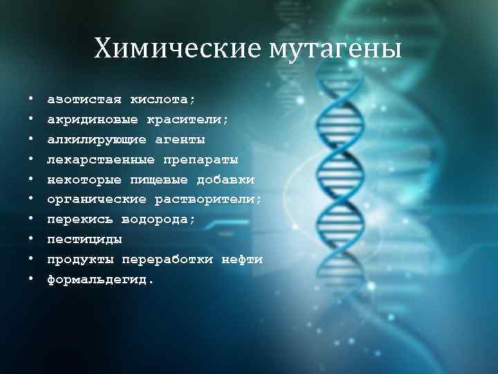 Химические мутагены • • • азотистая кислота; акридиновые красители; алкилирующие агенты лекарственные препараты некоторые