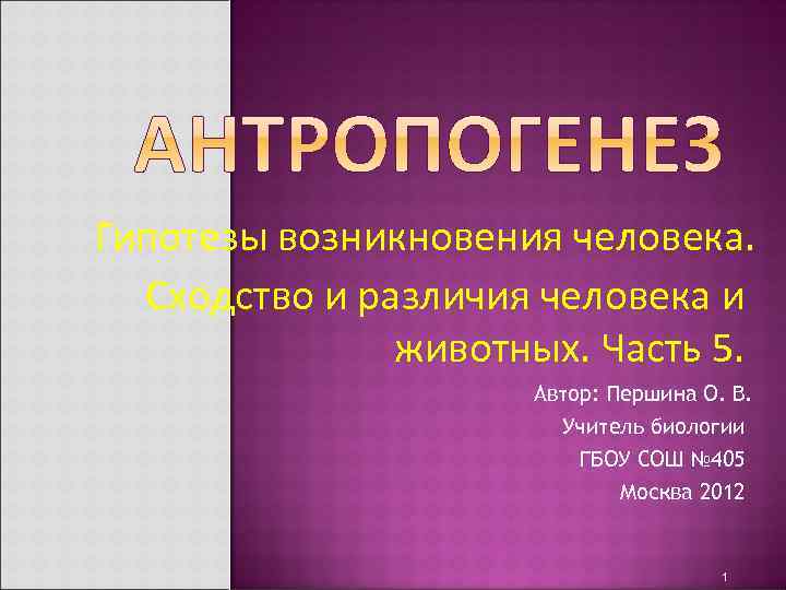 Гипотезы возникновения человека. Сходство и различия человека и животных. Часть 5. Автор: Першина О.