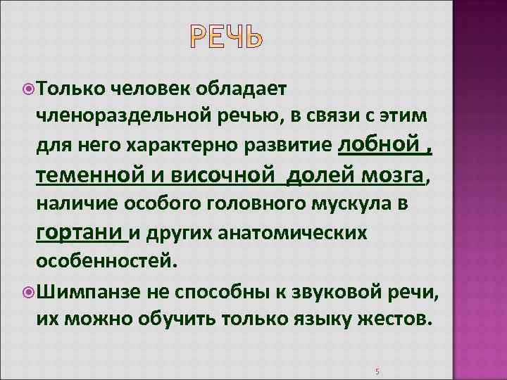  Только человек обладает членораздельной речью, в связи с этим для него характерно развитие