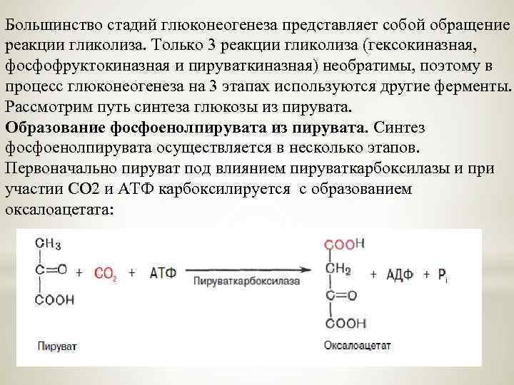 Схема реакции глюконеогенеза приводящая к образованию оксалоацетата