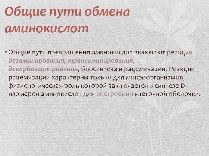 Общие пути обмена аминокислот • Общие пути превращения аминокислот включают реакции дезаминирования, трансаминирования, декарбоксилирования,