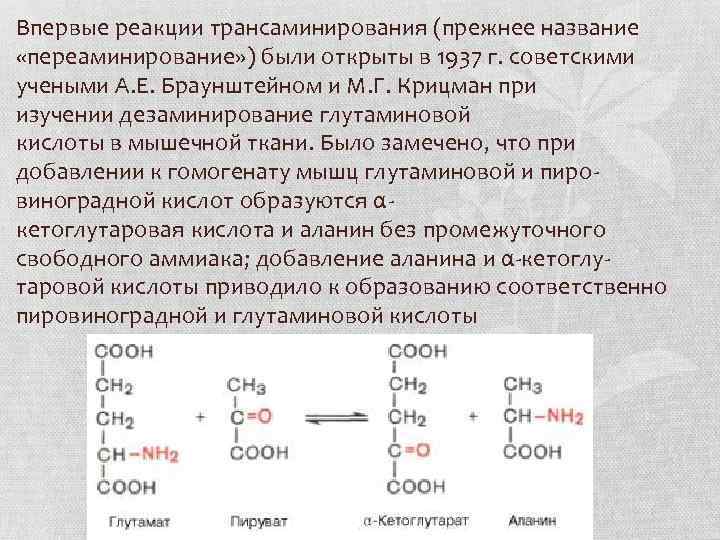 Глутаминовая кислота в продуктах