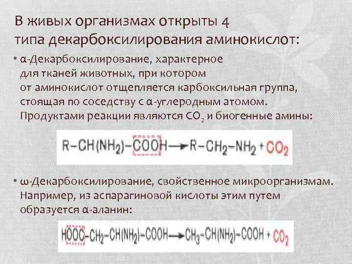 В живых организмах открыты 4 типа декарбоксилирования аминокислот: • α-Декарбоксилирование, характерное для тканей животных,