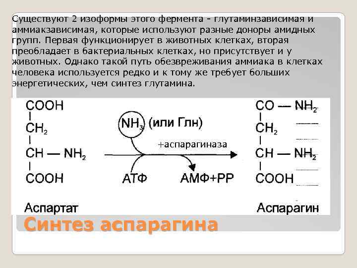 Временное обезвреживание аммиака виды