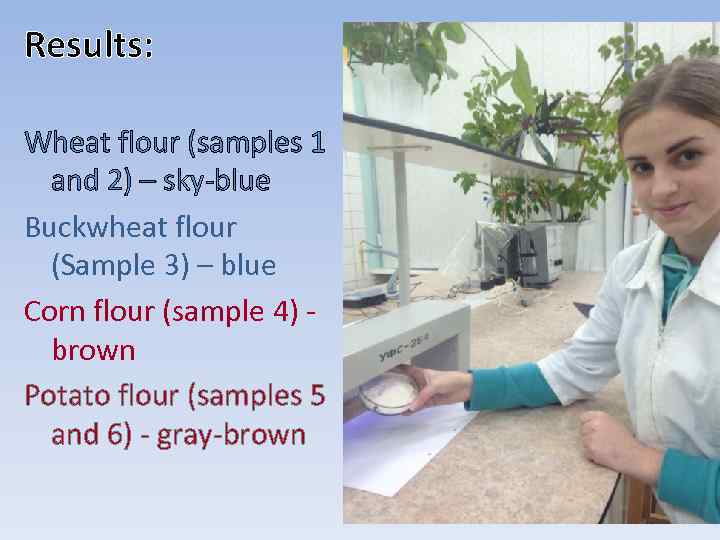 Results: Wheat flour (samples 1 and 2) – sky-blue Buckwheat flour (Sample 3) –