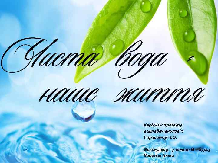 Керівник проекту викладач екології: Герасимчук І. О. Виконавець: учениця ІІІ – курсу Косован Ірина