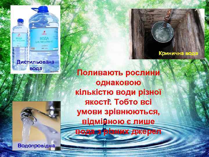 Кринична вода Дистильована вода Водопровідна Поливають рослини однаковою кількістю води різної якості. Тобто всі