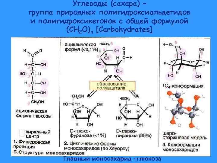 Углеводы (сахара) – группа природных полигидроксиальдегидов и полигидроксикетонов с общей формулой (CH 2 O)n