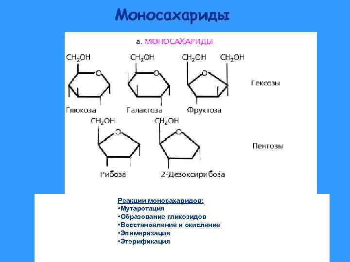 Какая реакция помогает отличить гексозу от фруктозы. Формулы углеводов моносахаридов. Структурные формулы моносахаридов таблица. Шестиуглеродный моносахарид.