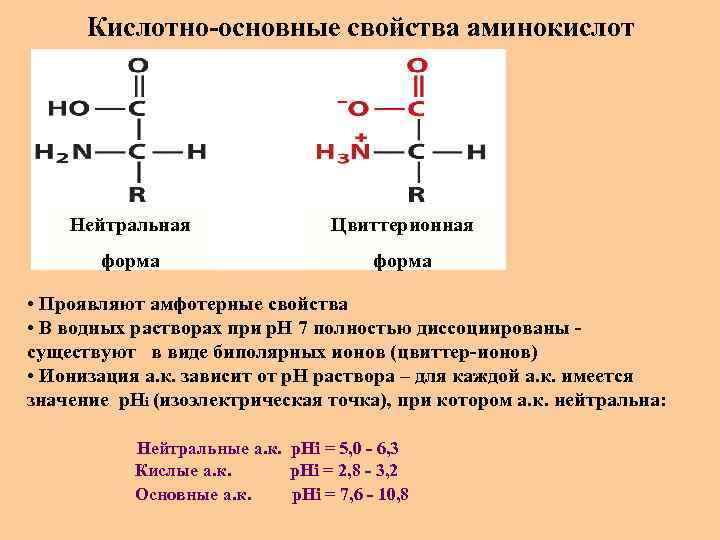 Кислотно-основные свойства аминокислот Нейтральная Цвиттерионная форма • Проявляют амфотерные свойства • В водных растворах