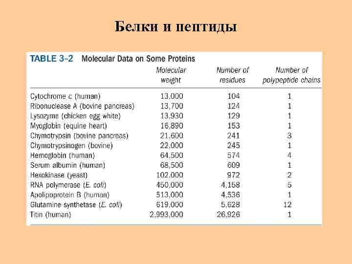 Белки и пептиды 