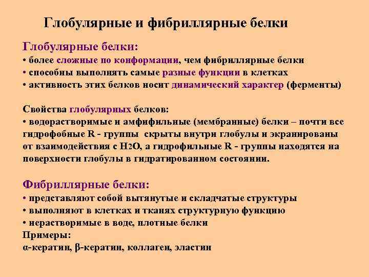 Глобулярные и фибриллярные белки Глобулярные белки: • более сложные по конформации, чем фибриллярные белки