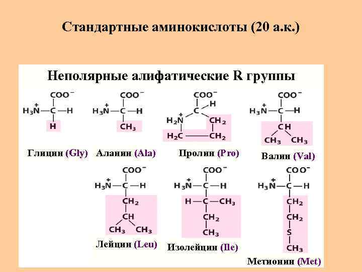 Стандартные аминокислоты (20 а. к. ) Неполярные алифатические R группы Глицин (Gly) Аланин (Ala)