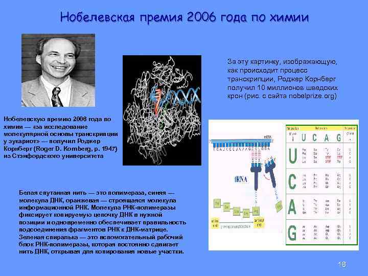 Нобелевская премия 2006 года по химии За эту картинку, изображающую, как происходит процесс транскрипции,