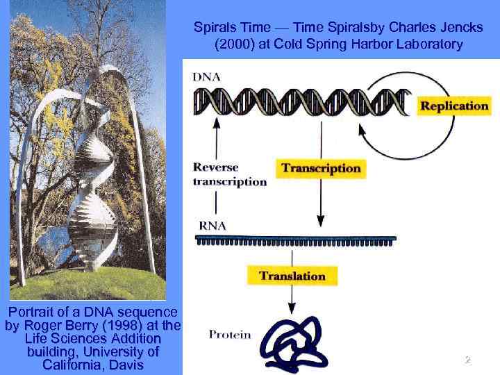 Spirals Time — Time Spiralsby Charles Jencks (2000) at Cold Spring Harbor Laboratory Portrait