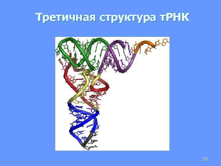 Третичная структура т. РНК 22 