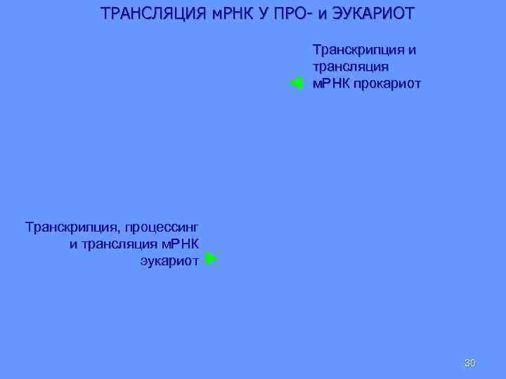 ТРАНСЛЯЦИЯ м. РНК У ПРО- и ЭУКАРИОТ Транскрипция и трансляция м. РНК прокариот Транскрипция,