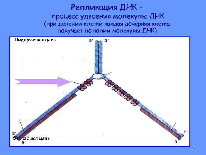 Служба репликации файлов столкнулась с проблемами при включении репликации